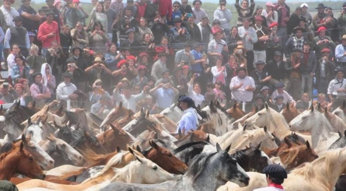 Todo listo para la 31° Fiesta del Talar: la cumbre máxima de domadores y tradición del país