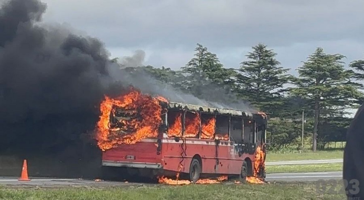 Una espesa humareda y un micro escolar consumido por las llamas: impactantes imágenes del incendio en la ruta 226