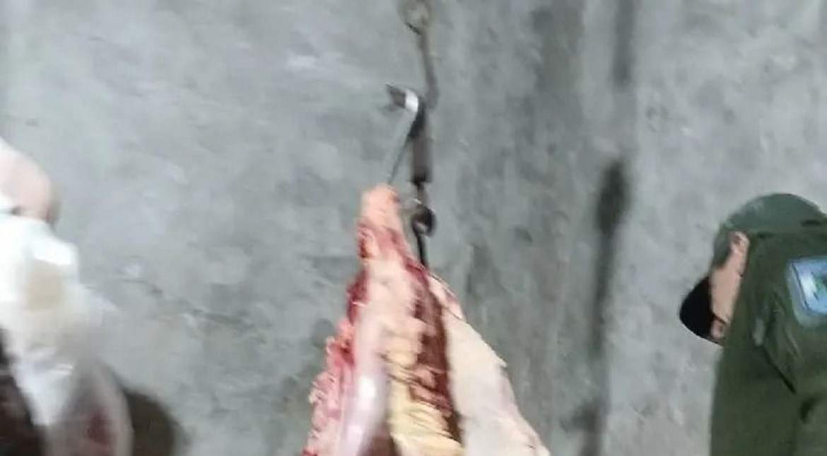 "Los costillares tenían tierra y pasto" clausuran carnicería y secuestran 60 kilos de carne contaminada