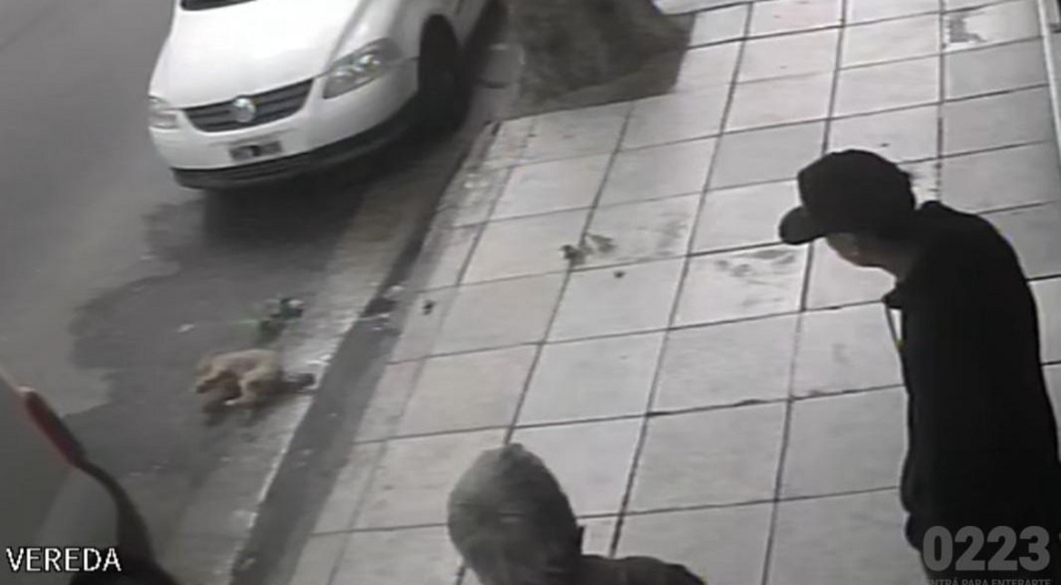 Denuncian disturbios en un edificio del centro: arrojaron un botellazo y hasta un caniche por el balcón