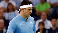 Del Potro hizo su parte y emparejó la serie