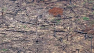 El Congreso aprobó la Ley de Cambio Climático