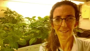 Florencia Pia Olivieri, la investigadora que busca conocer la respuesta de la papa