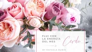 Rafaela Rubín cuenta cómo será la energía del mes cerdo