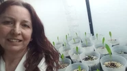 Fernanda Covacevich, la bióloga que estudia el impacto de las prácticas agrícolas en la región pampeana 