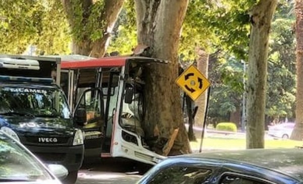 Un colectivo sin frenos chocó contra un árbol y el chofer murió en el ...