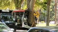 Un colectivo sin frenos chocó contra un árbol y el chofer murió en el acto: hay 17 pasajeros heridos Un colectivo sin frenos chocó contra un árbol y el chofer murió en el acto: hay 17 pasajeros heridos