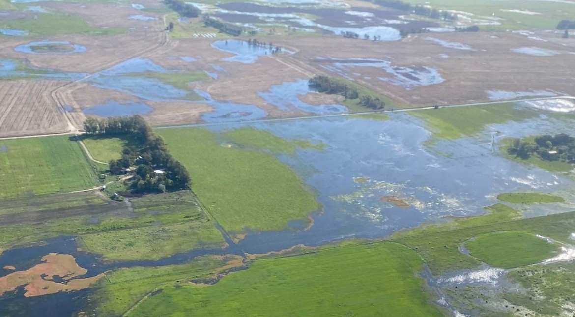 Advierten por una millonaria pérdida en el sudeste bonaerense por excesos hídricos en los campos