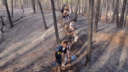 Sofocan por completo el incendio en Valeria del Mar y agradecen a la población