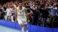 En Europa aseguran que Real Madrid va por todo con Campazzo