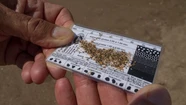 Comenzó la medición de indicadores en playas de la ciudad
