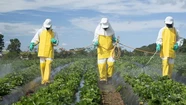 Agroquímicos: en Chascomús crearon el primer registro de aplicaciones