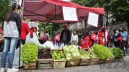 Trabajadores del MTE Rural reclaman por la Ley de Tierras y mejoras en los caminos rurales. Foto: 0223