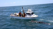 Con imágenes satelitales detectan plástico en el Mar Argentino