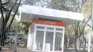 Recién las ponen y ya piden moverlas