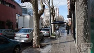 Comerciantes intentaron linchar a un nenito de la calle