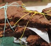 Llevó “brownies locos” a la UBA e intoxicó a cuatro compañeros