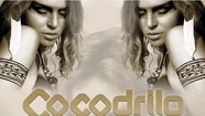 Buscan dejar sin efecto el decreto que prohíbe la apertura de Cocodrilo