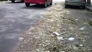 Infraccionarán a la 9 de Julio por la suciedad en las calles