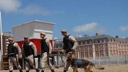 Gestiones para que Gendarmería patrulle las calles de Mar del Plata